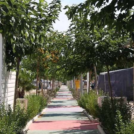 Almafrá Parque de Campismo